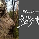 샘물집 이미지