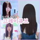 리얼큐브 | 일산 복구매직 그레이큐브 리얼 후기 / 손상모 복구 성공! 도운 디자이너