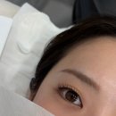 성신여대 디아인 속눈썹펌 | 무쌍눈 솔직 후기
