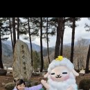 하율투어 이미지