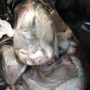 순찬낚시터 이미지