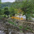 세종대중목욕탕 | 대전 동구 문글램핑 : 대전, 세종 근교 아이랑 가기 좋은 글램핑장 추천(feat. 수영장, 모래놀이터)