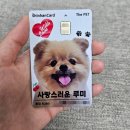 바론동물병원 | 우리 강아지 사진으로 만드는 하나뿐인 신한카드 The PET