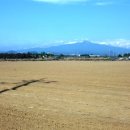 무릉2리(평지동) 이미지