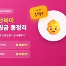 정부지원금