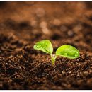 3원-天,地,人 이미지