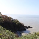 도음소도(돔배)