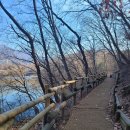 3/24(일) 12:30 서울대공원 산림욕숲길 트레킹 (초급코스)◐마감◐ 이미지