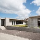 일일시호 이미지