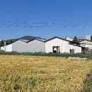 수상정미소 이미지