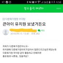 오랜만에 맘스홀릭 카페 갔다가 별로인 글 발견했네요;; 이미지