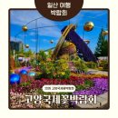 한수중 입구 주변 | 2026 고양국제꽃박람회 기간 주차장 3곳 완벽 총정리! 입장료 네이버예약 할인 꿀팁