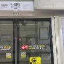 비슬약국 | [한국일상] 봄비