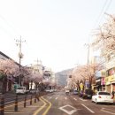 숲뫼탕 네이버블로그