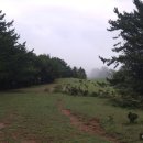 초야목장 이미지