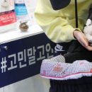 원 반려동물 미용실 이미지