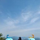 똘이회초장