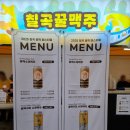 경북과학대학교 | 2025 칠곡 꿀맥 페스티벌 후기 갔다는 왔다 비를 뚫고