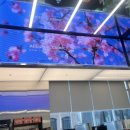 올라인의원 이미지