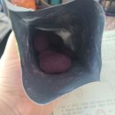 The그미
