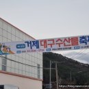 거제대구수산물축제 | 제16회 거제 대구 수산물 축제 방문 후기(2023.12.16.)