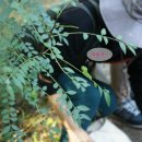 (사)산림문화콘텐츠연구소