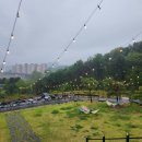 🌧비 오는 날의 작은 휴식, 초록에 물든 감성 카페🌿