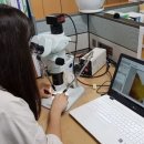 청주시 농업기술센터 이미지