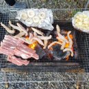 수락베이스캠프 이미지