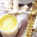 한국의 산삼과 상황버섯 이미지