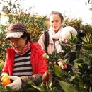 윤병민 농장 이미지