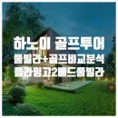럭서리게임장 | 부부동반&amp;4인 골프 최적화 - 플라밍고 다이라이 (Flamingo Dai Lai Resort) 2베드룸 풀빌라와 빈푹 명문...