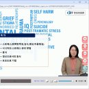미니어처 방과후 지도자자격증 | 시니어 웰니스 지도자 자격증 한국교육검정원 무료수강 2주만에 취득