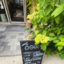 사당역11번출구 | 사당역 11번 출구 핑크레몬에이드 맛있는 카페 '오쎄'