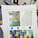 행정11길 4, (목행동) | 코니카미놀타 C025 출력 바탕 노랗게 나올 때? 드럼 교체로 완벽 해결! 대전 출장 A/S 후기 🚗