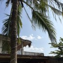 이약국 | 베트남 7박8일 :: 다낭&amp;호이안여행 임산부 1월 태교여행 7일차 #임산부베트남여행코스