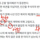 알리페르