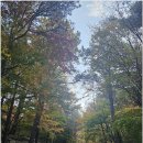 (홀로) 경주 석굴암 탐방(2025.11.16) 이미지