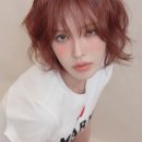 웬디