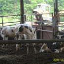 민재목장 이미지