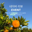 영재농장 | 감귤영재농원 저농약 맛있는 제주도 귤의 싱싱함을 우리집에서 맛보는 이귤이귤