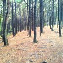 명곡체육공원 이미지