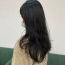 하쏘헤어 이미지