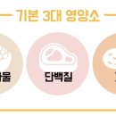 붕어빵 먹거리