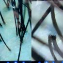 성신여대미용실: 레토헤어 _ 두피클리닉으로 스트레스관리까지