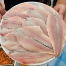 소갈딱지 | 입질의 추억 유튜브에 나온 강화도 밴댕이 맛집 유일8호 내돈내산 솔직후기