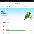 원어민생활영어(심화) | 영어회화 한달, 3가지 기준으로 직장인 인간승리 후기