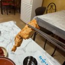 먹보식육식당 | 광주 현지인 맛집 명화식육식당 내돈내산 솔직후기 ( 루브시 , 광주 대형카페 )