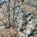 지용산인 이미지