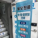 바다온누리약국 | [리뷰] 요즘 품절대란, 마운자로 2.5 종로 성지 9/20 주말 토요일 방문 후기